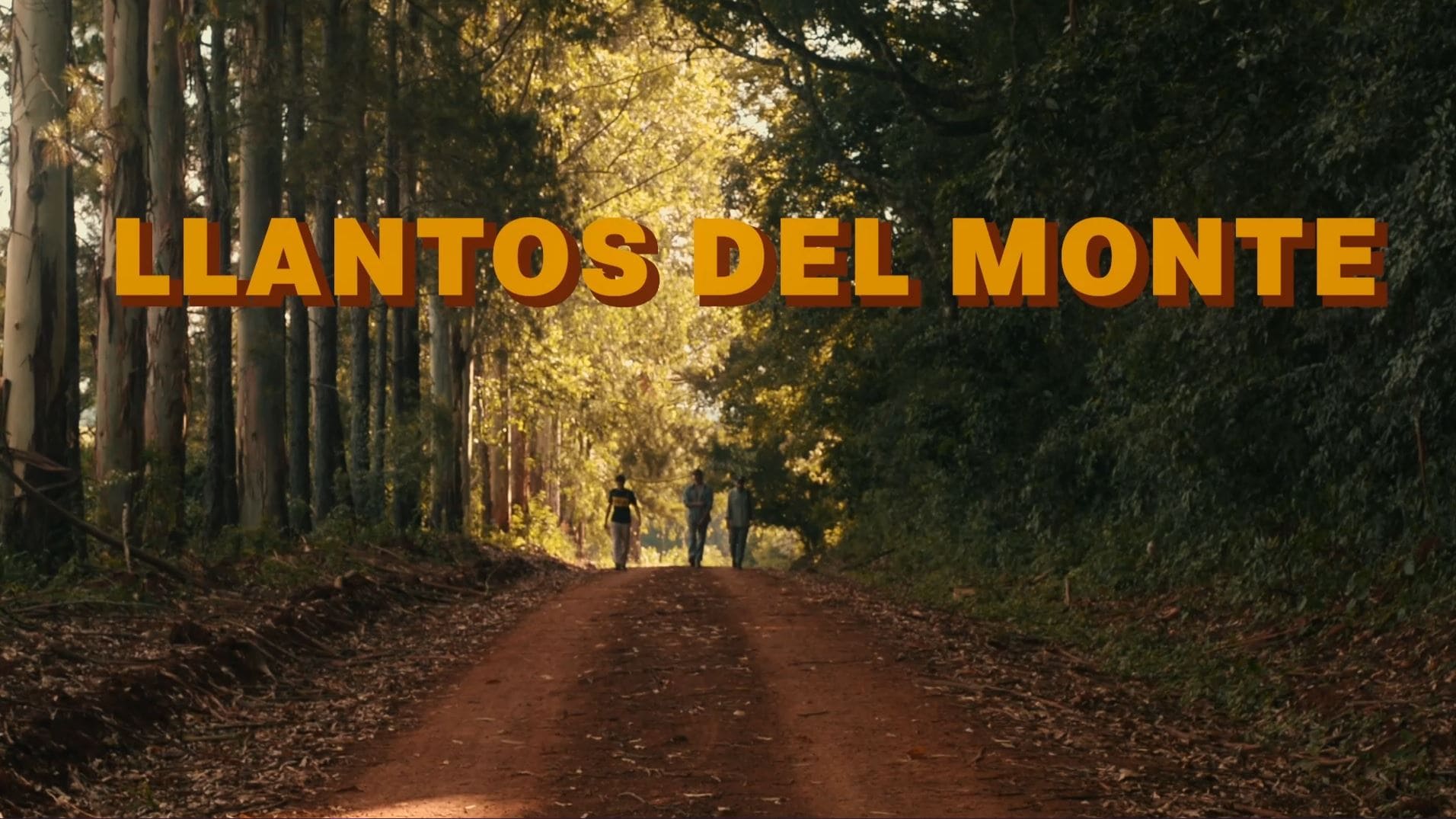Llantos Del Monte - Cine Joven Comunitario